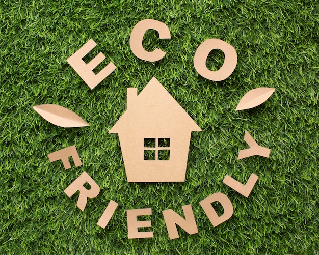 Eco-Friendly Home Joy: 6 Powerful Changes for a Greener, Brighter Future