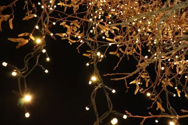 Fairy Lights